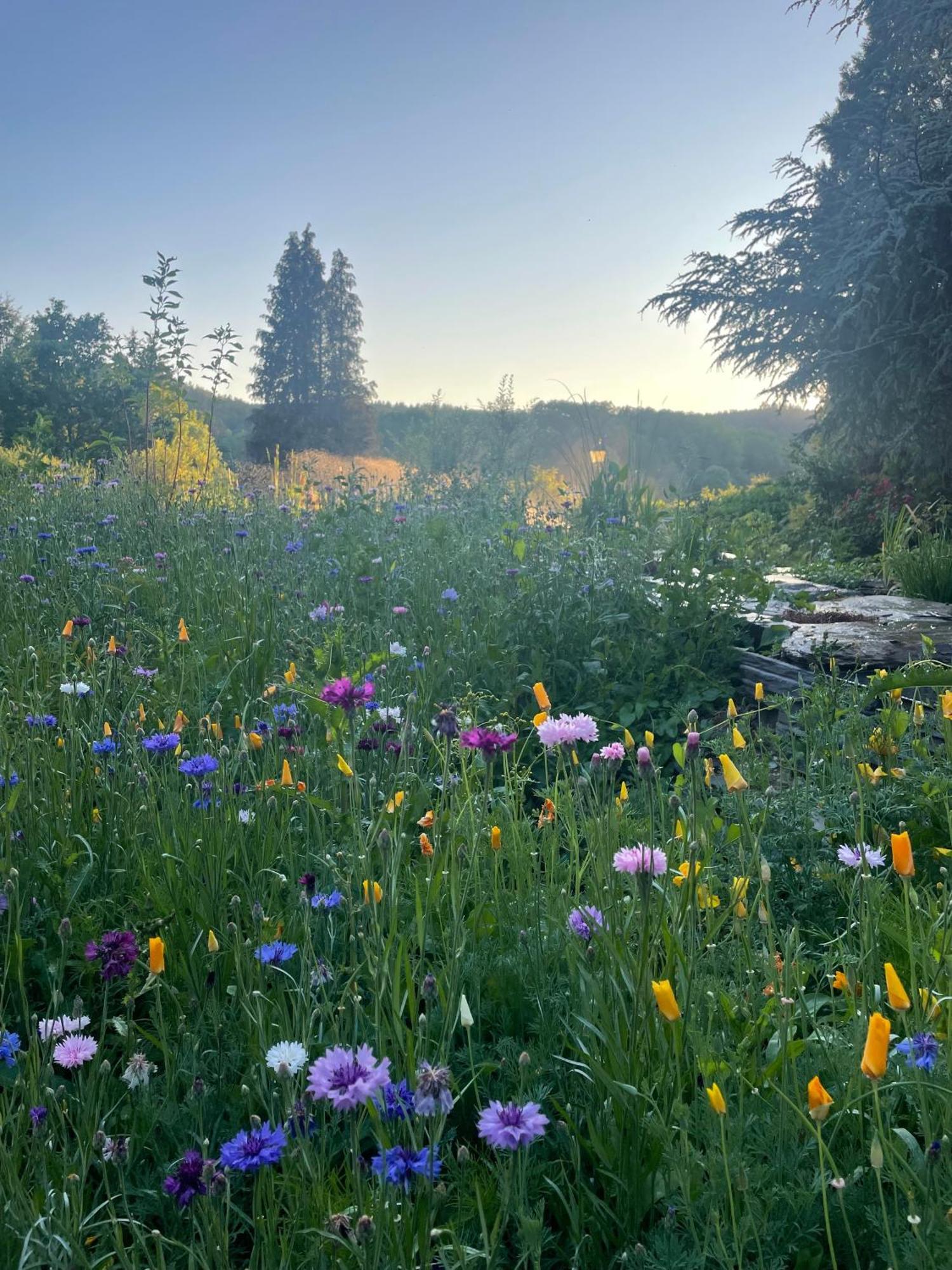 Domaine De L'Ardoisiere Villa Alle Kültér fotó